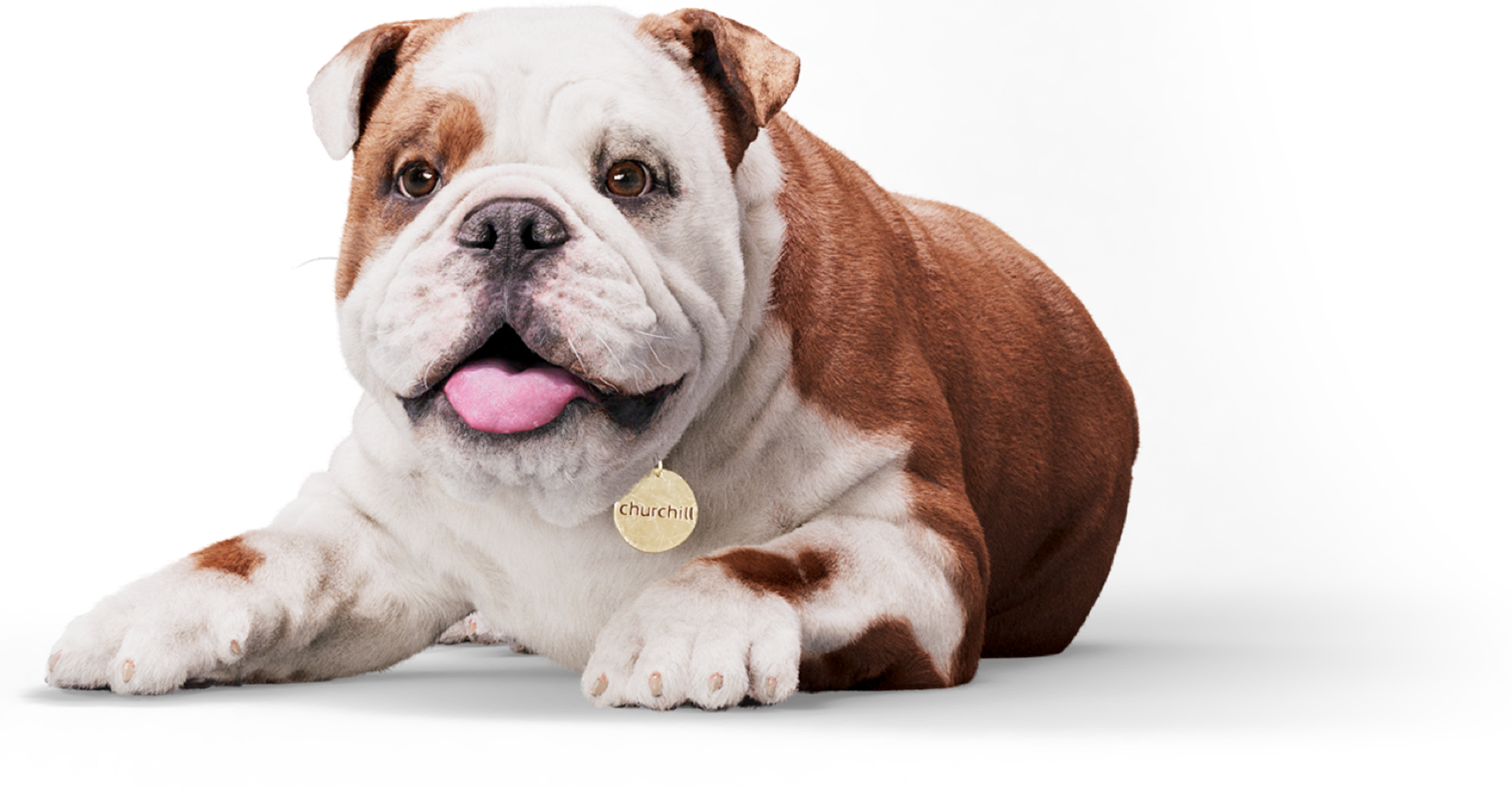 Professional Indemnity Churchill Professional indemnity churchill